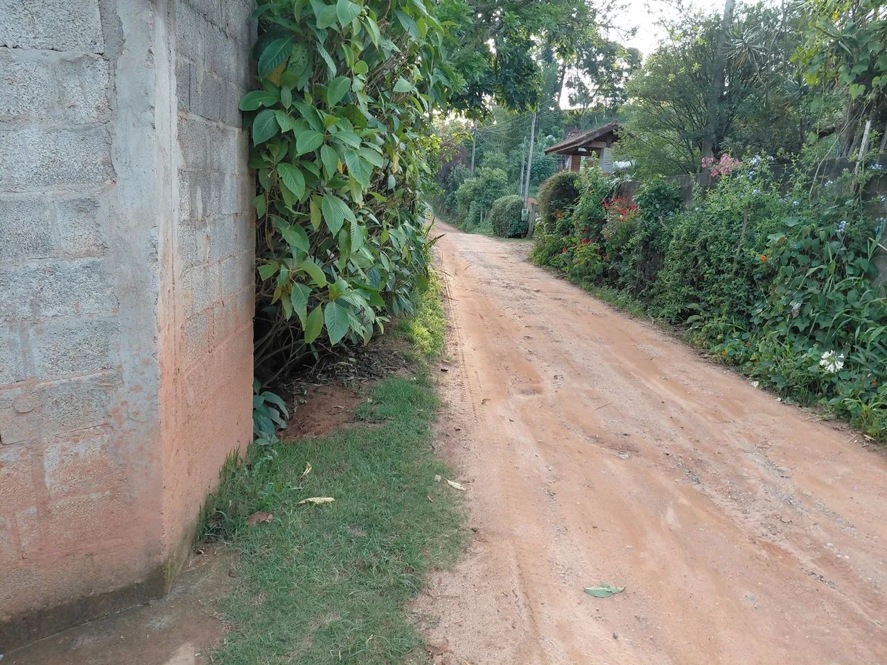 Chácara  - Foto 4