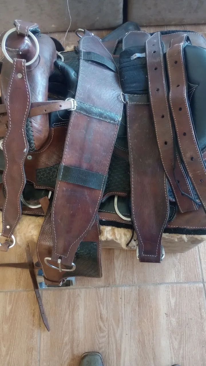 Sela americana (cavalos) - Foto 5