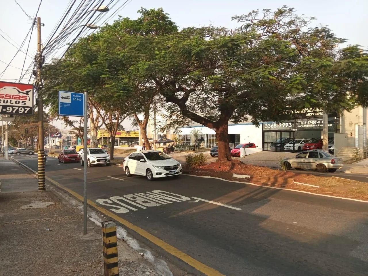 terreno - Jardim Chapadão - Campinas - Foto 4