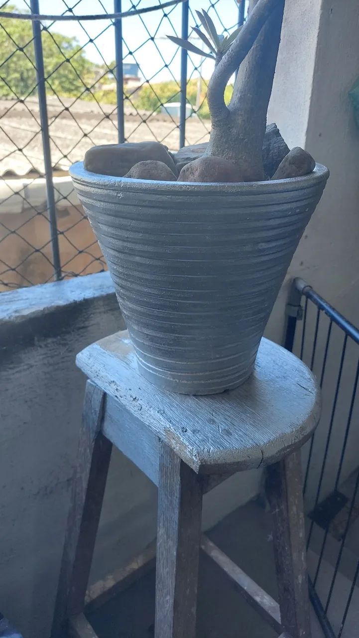 Flor do deserto com vaso M  - Foto 4