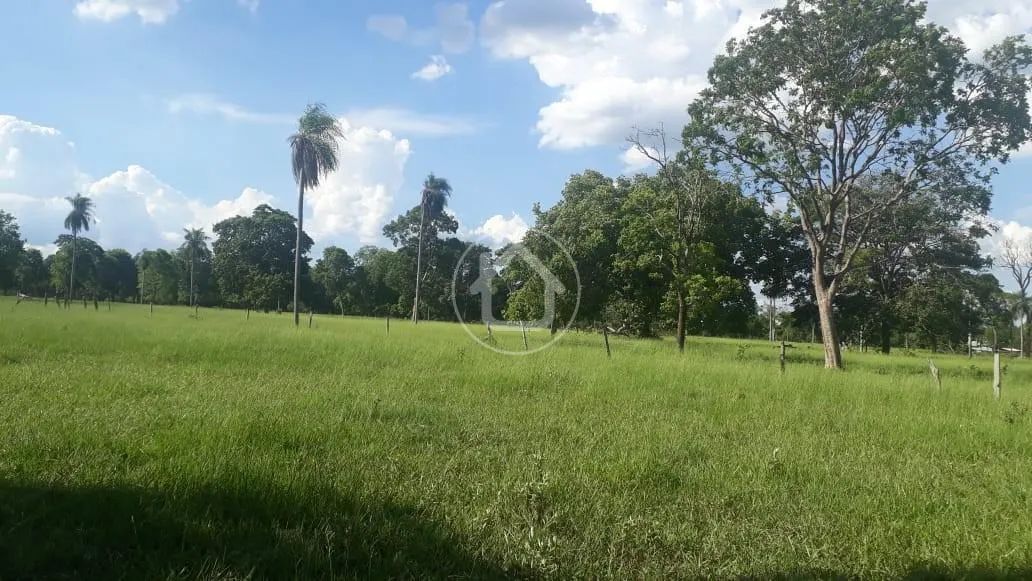CHÁCARA COM 34 HAS EM NIOAQUE/MS - Foto 5