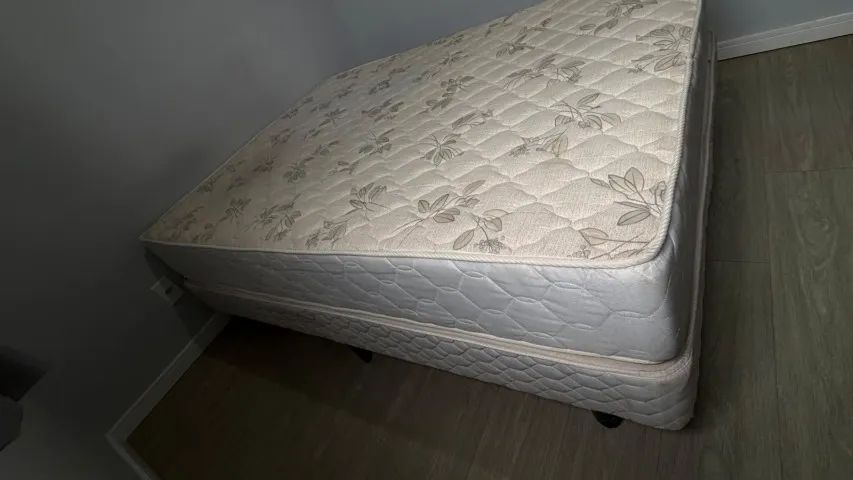Cama Box Castor - Foto 3