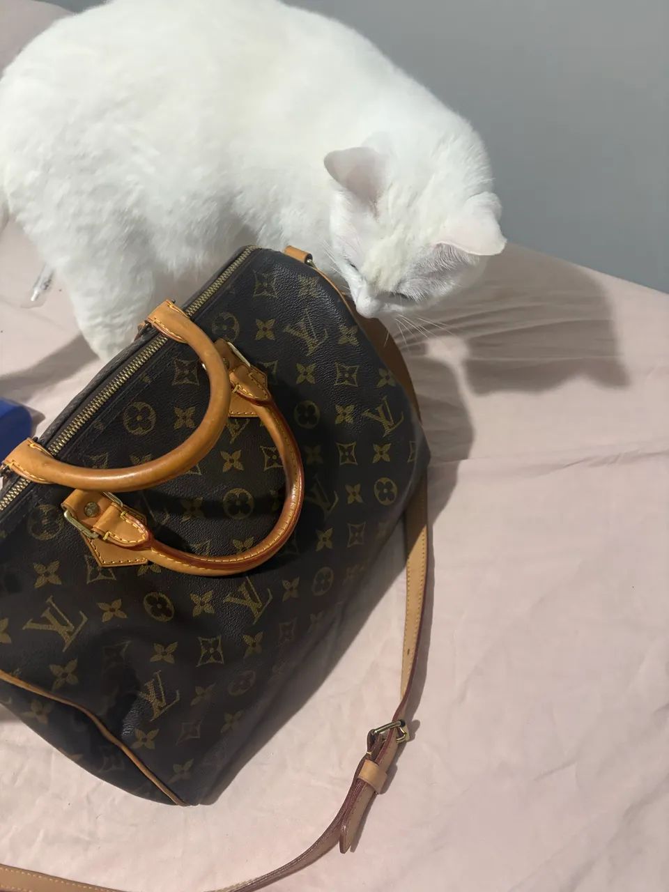 Bolsa Louis Vuitton - Foto 4