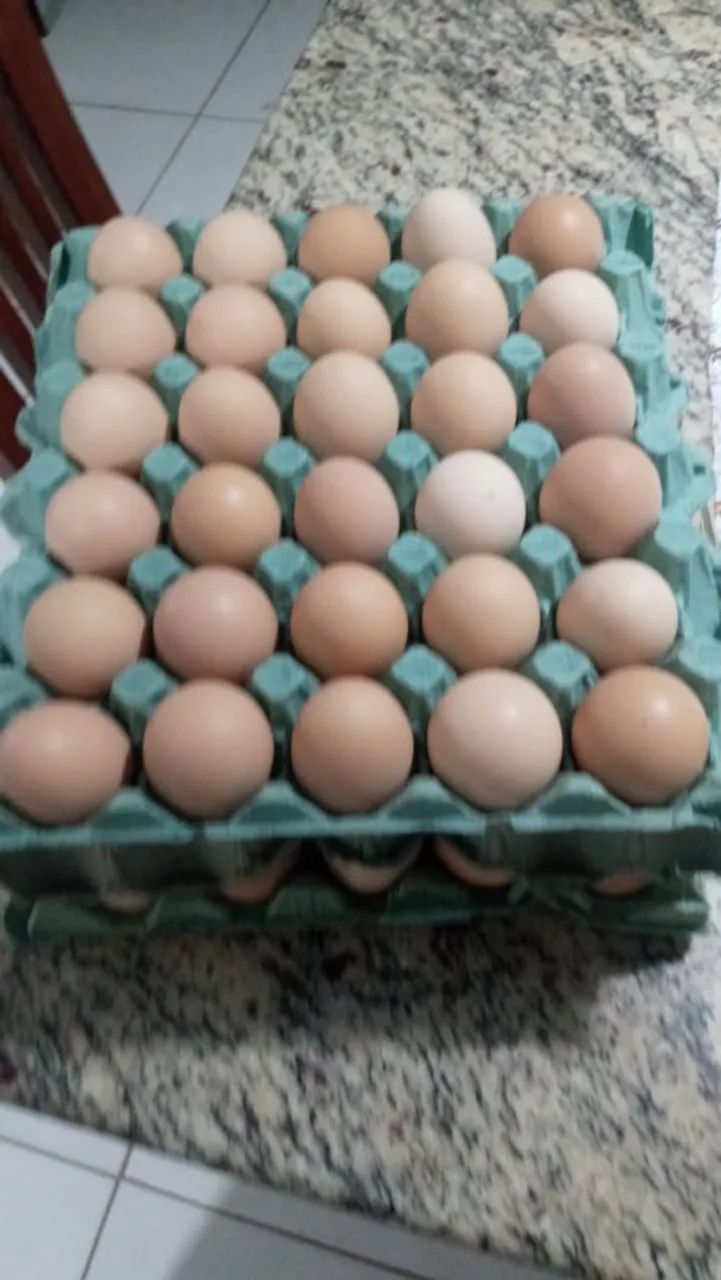 Ovos de galinha caipira C/30