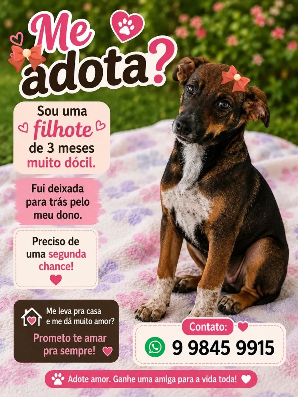 DOGUINHOS