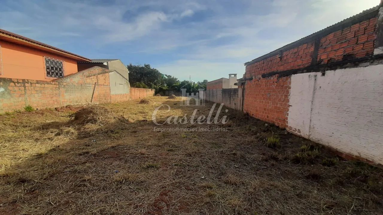 Terreno, Neves, PONTA GROSSA - PR - Foto 4