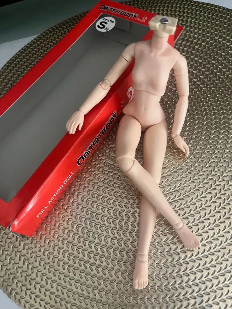 Corpo ob24 