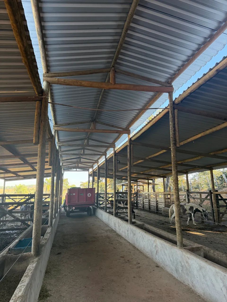 Fazenda as margens do rio Pará em Itaguara MG a 100 km de BH - Foto 4