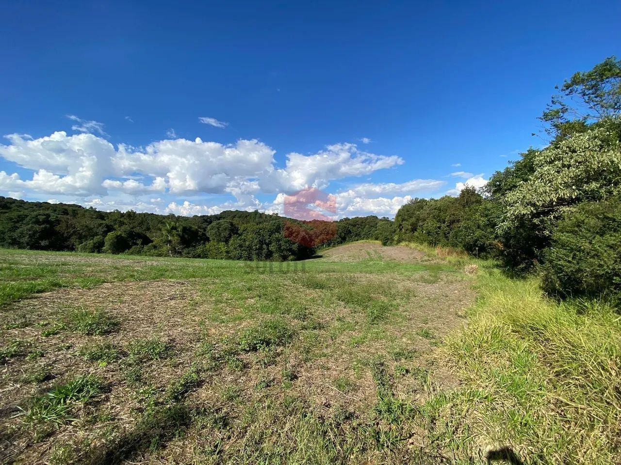 Área Rural à Venda  27.000 m² - Foto 3