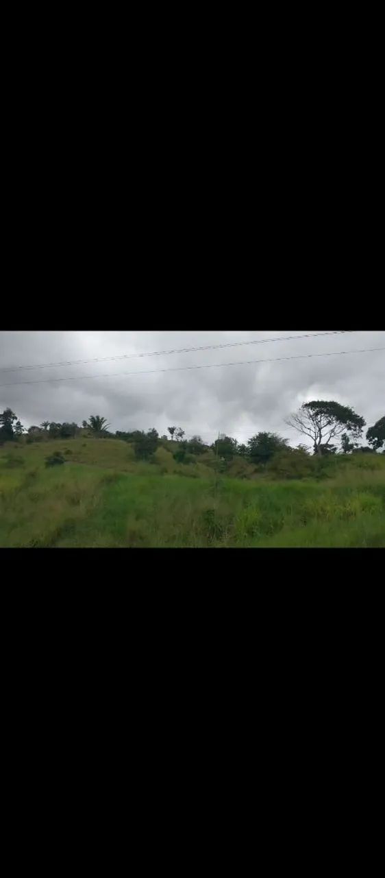 Terras agrícolas/fazendas - Foto 3