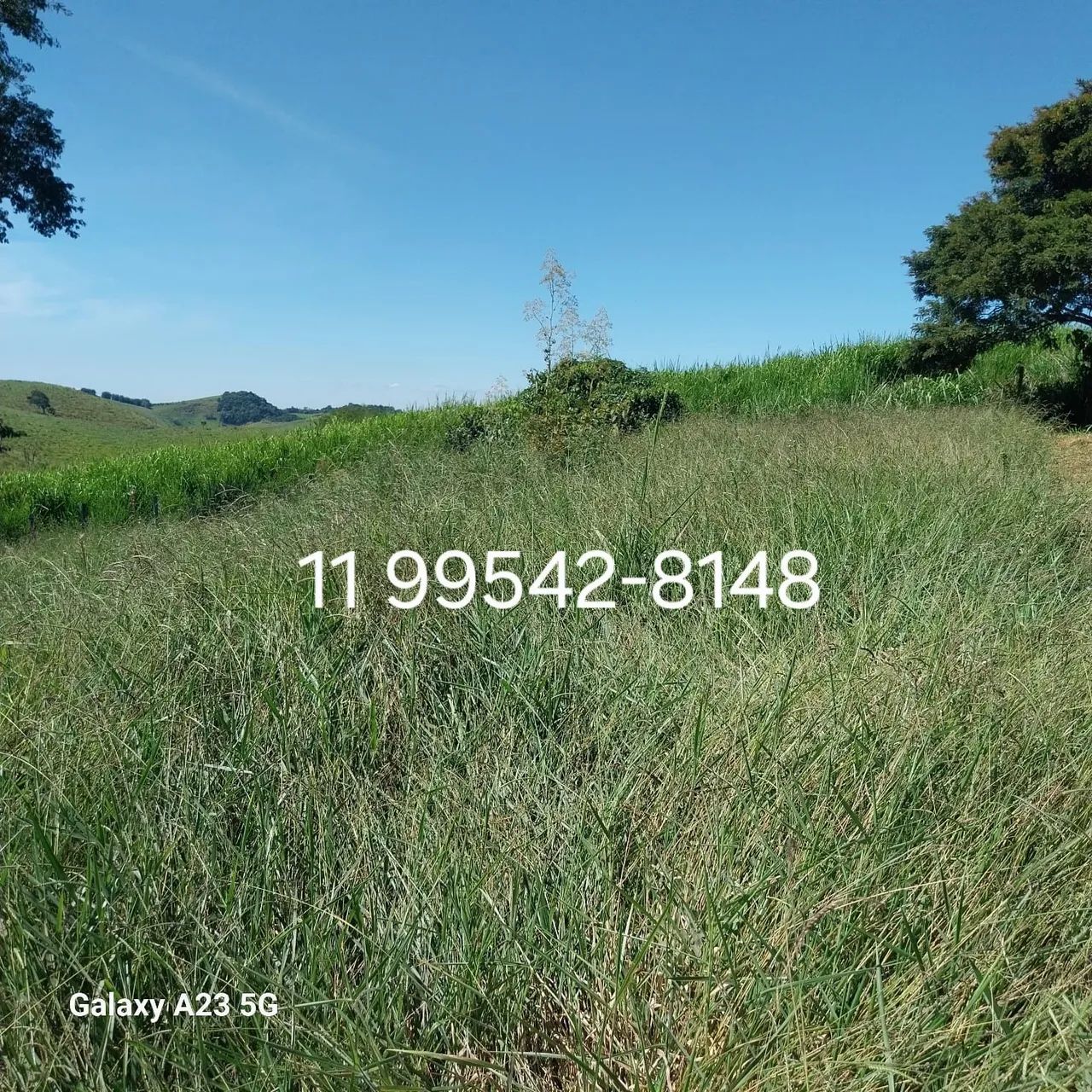 Terreno em Santa Isabel 1000m² - Sítio, Chácara, Casa - Foto 5
