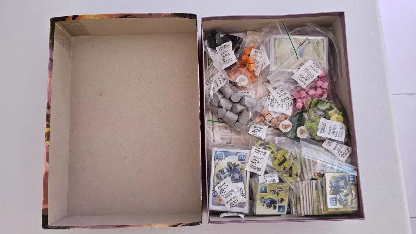 Board Game Ginkgopolis (importado) - Jogo Tabuleiro - Foto 2