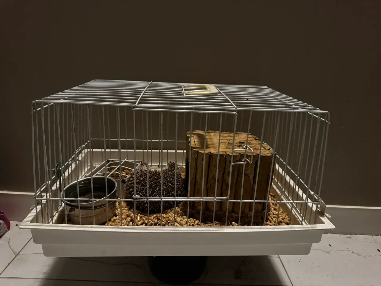 Ouriço Headgehog (sonic) - Foto 3