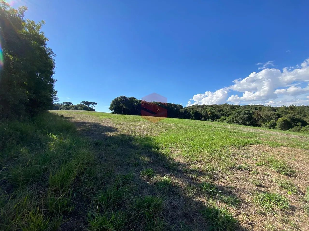 Área Rural à Venda  27.000 m² - Foto 4
