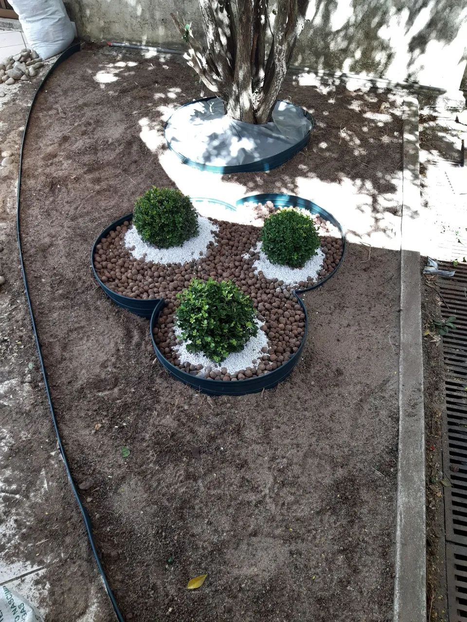 Jardinagem sou jardineiro  - Foto 4