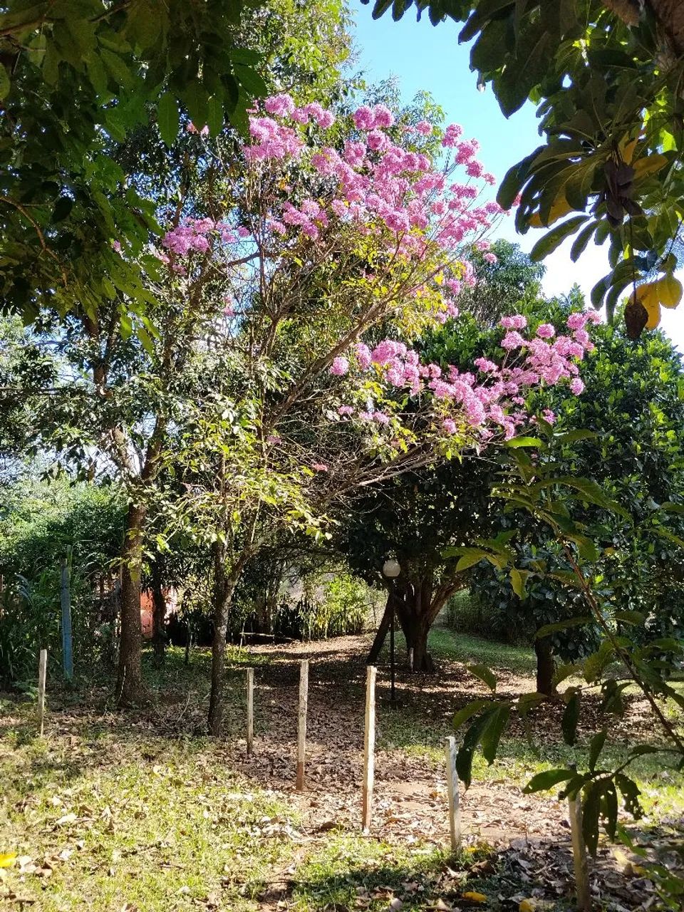 Aluguel para festas e eventos  - Foto 3
