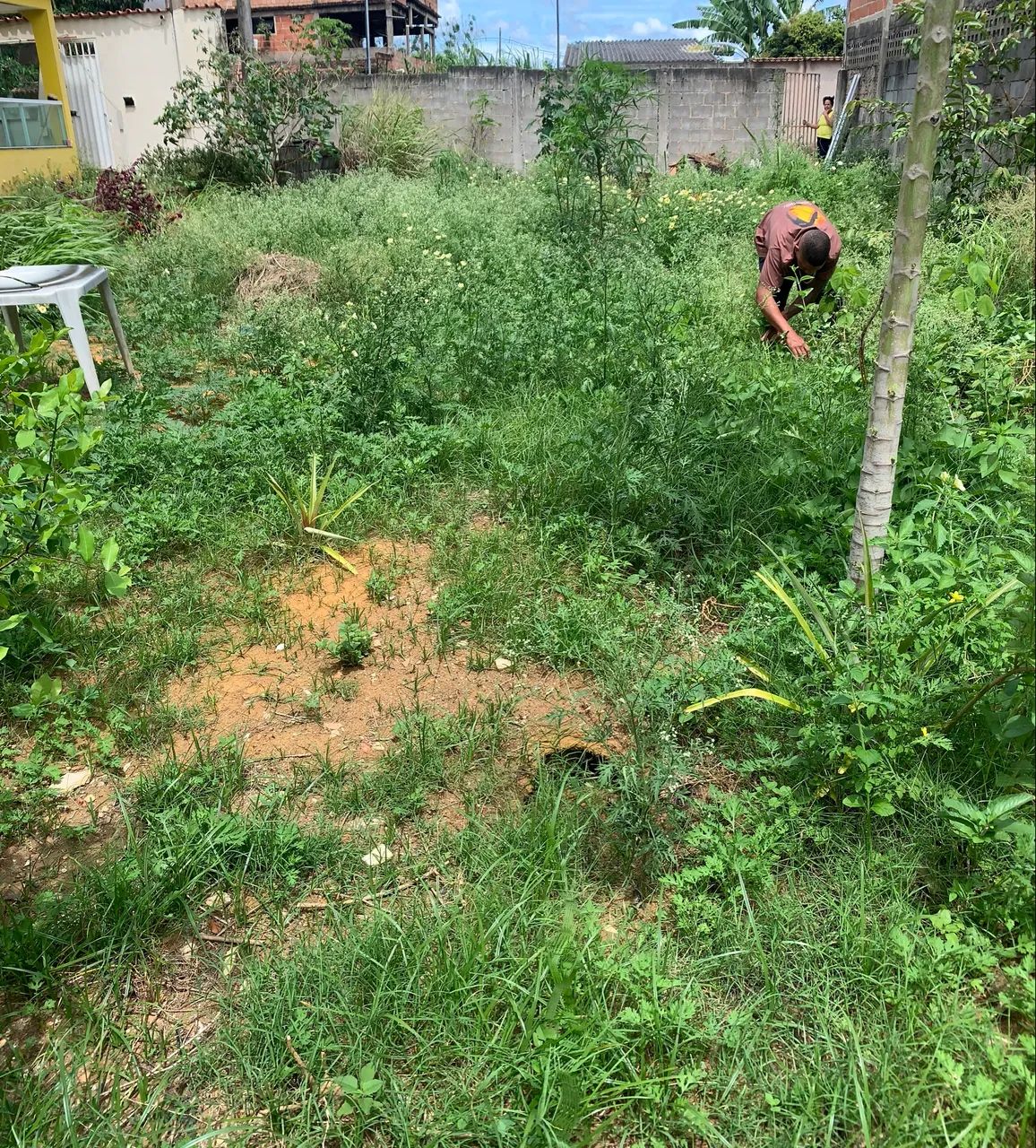 Foto - Cariacica - Campina Grande