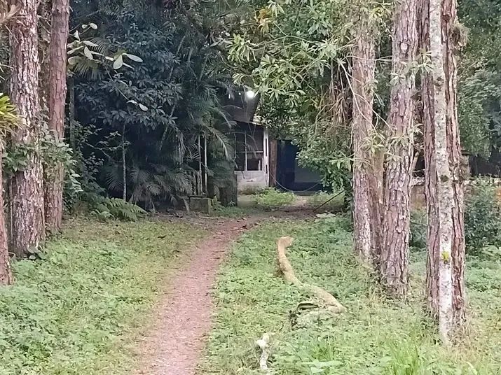 Chácara a venda preço pra vender rápido  - Foto 2
