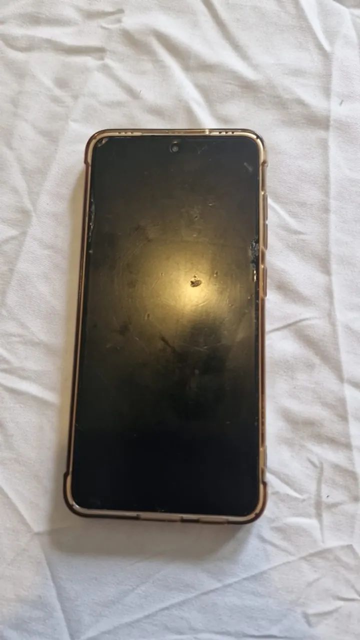 Celular Samsung Galaxy S21Fe