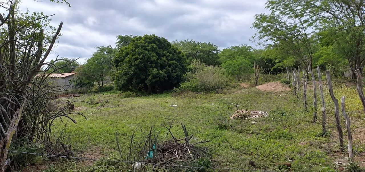 Vende se  terreno no povoado lagoinha - Foto 2