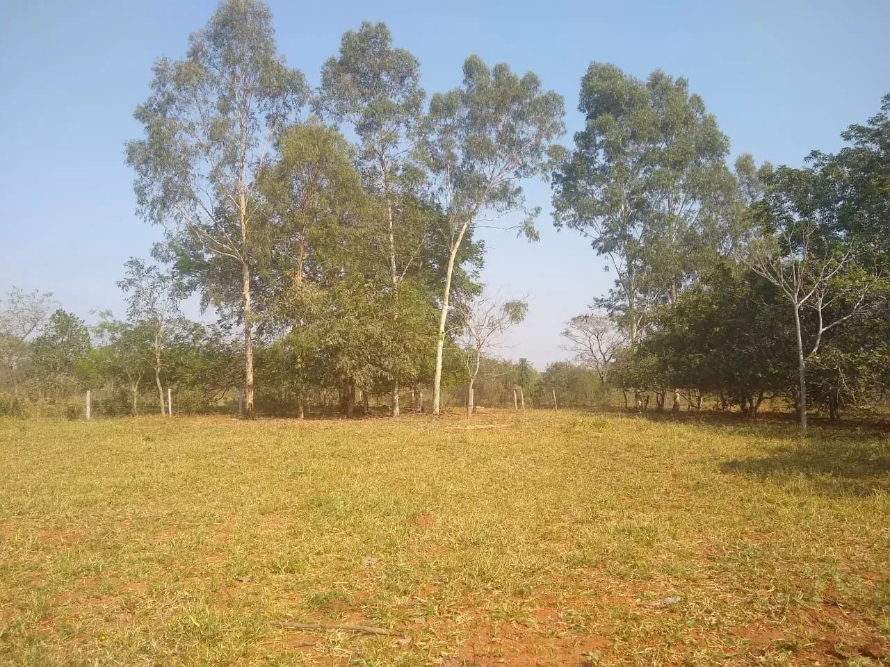 COD559 - Chácara a venda - 14hectares em Terenos/ MS.