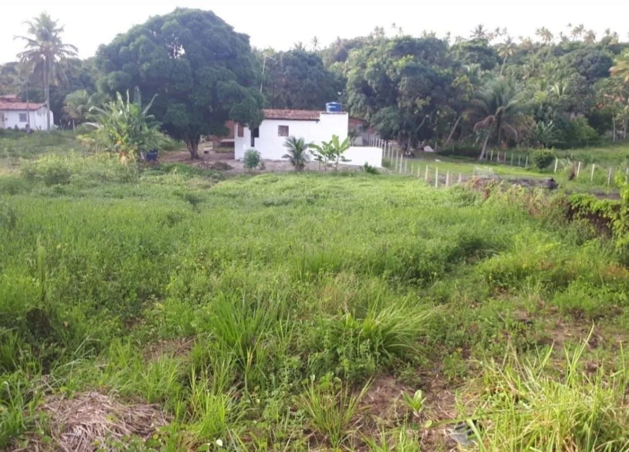 Vendo Casa de Campo em Igarassu - Foto 5