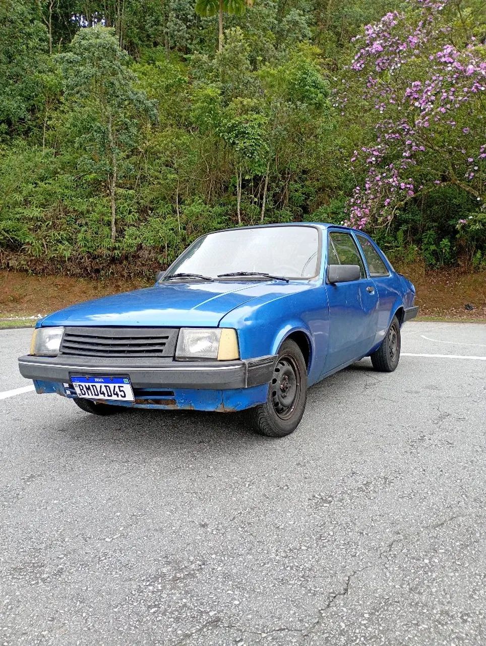 Chevrolet Chevette L / SL / Sl/e / DL / SE 1.6 1993