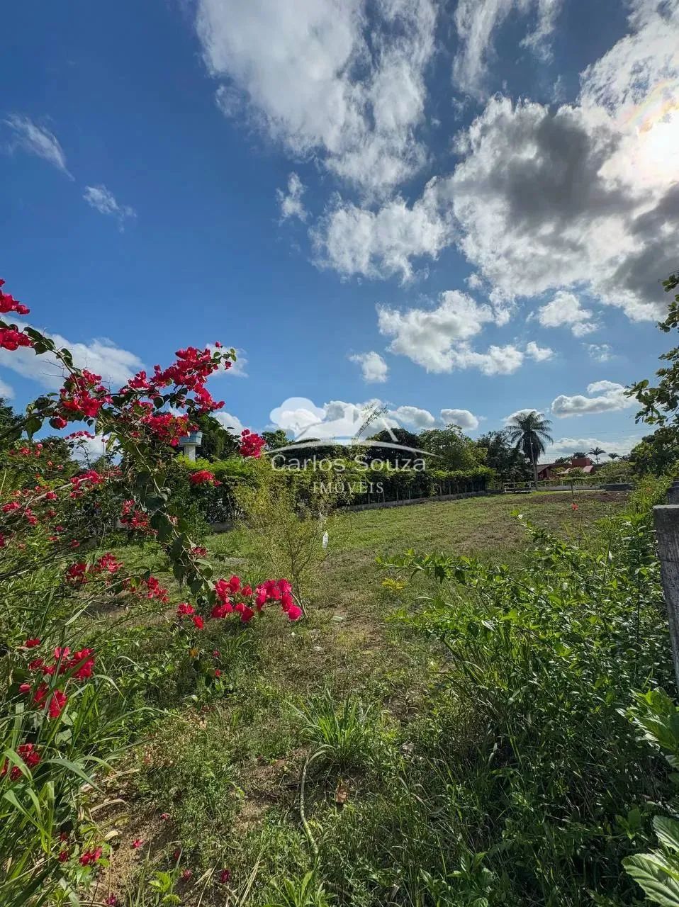 Terreno em Condomínio CÓD 324 - Foto 4