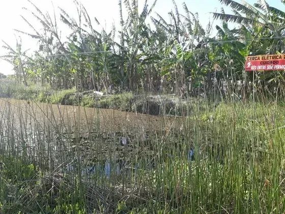 Excelente Granja com 1.5 hectares em lagoa salgada estrutura - Foto 3