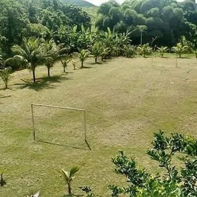 Venda de sítio com casa  - Foto 3