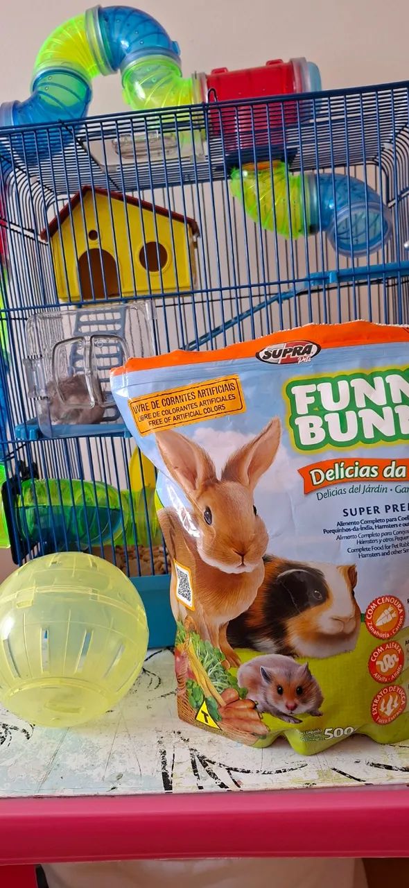 Ramister japonês ( o menor de todos) com gaiola nova, ração, bolinha para ele andar. - Foto 3