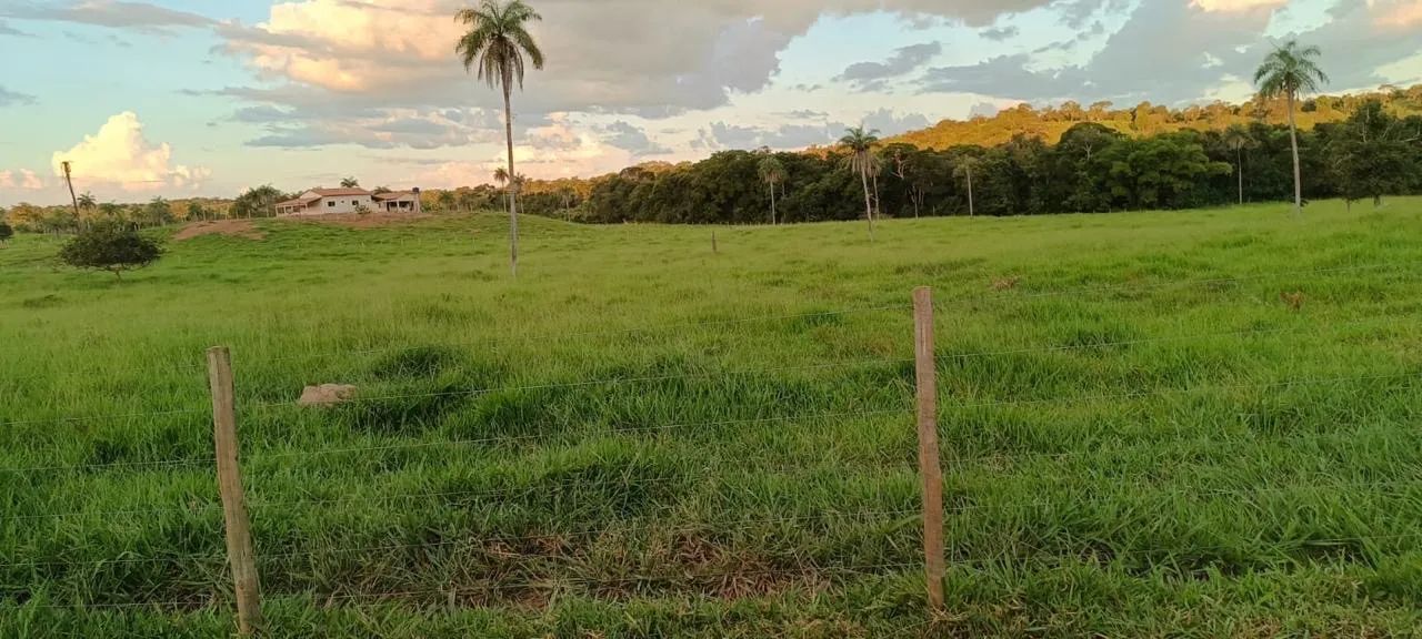 Fazenda com 155 alqueires a venda propriedade plana - Foto 4