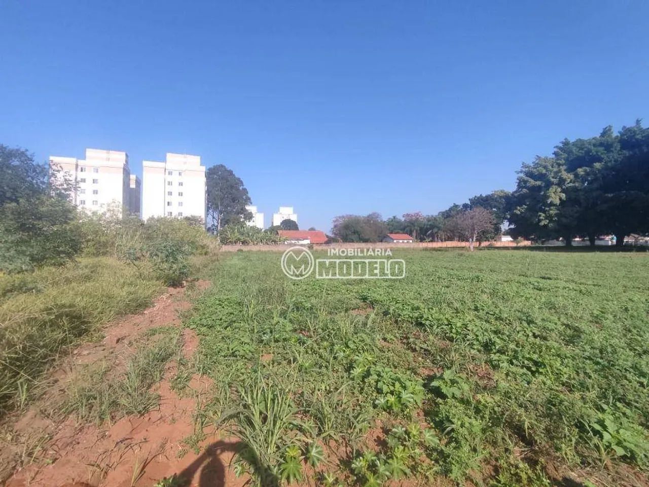 Terreno à venda, 3870 m² por R$ 1.550.000 - Dois Córregos - Piracicaba/SP - Foto 5