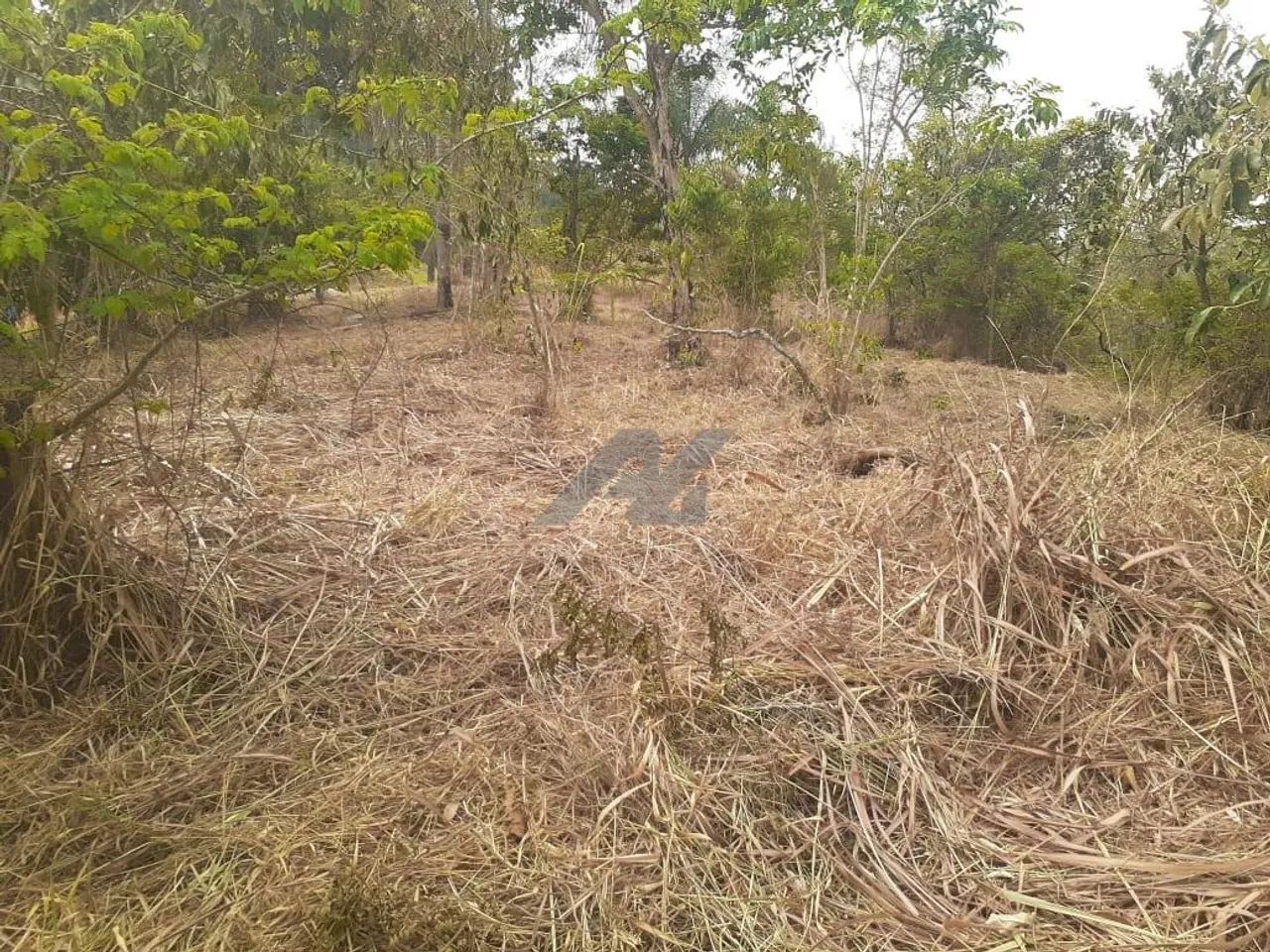 terreno - Joaquim Egídio - Campinas - Foto 4