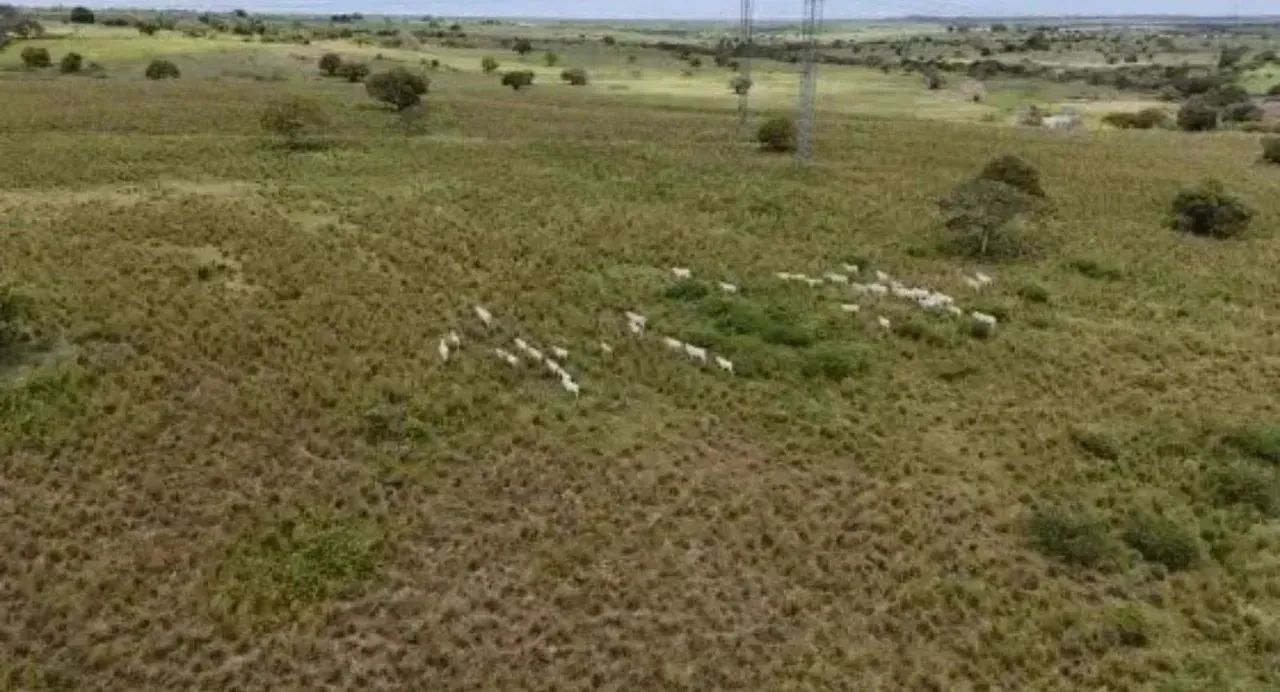 Fazenda Arapiranga a Venda 341 Hectares