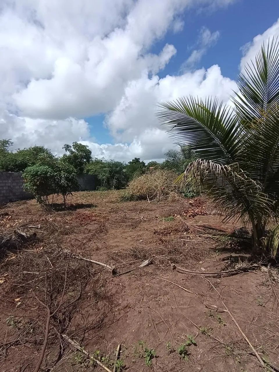 Terreno no papagaio  - Foto 2
