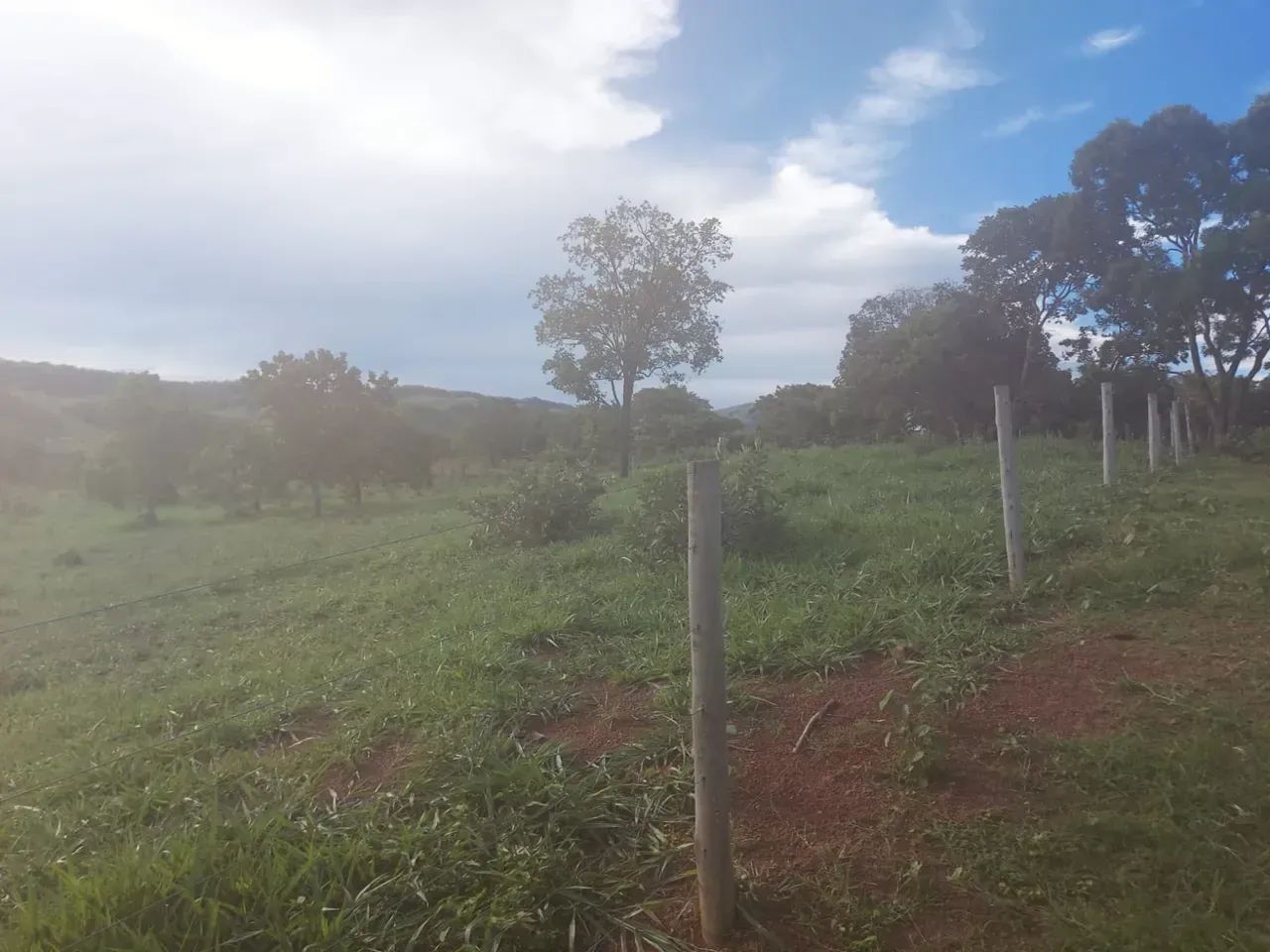 Vendo fazenda com 173 hectares na região de BONFINOPOLIS  próximo a Unai MG - Foto 9