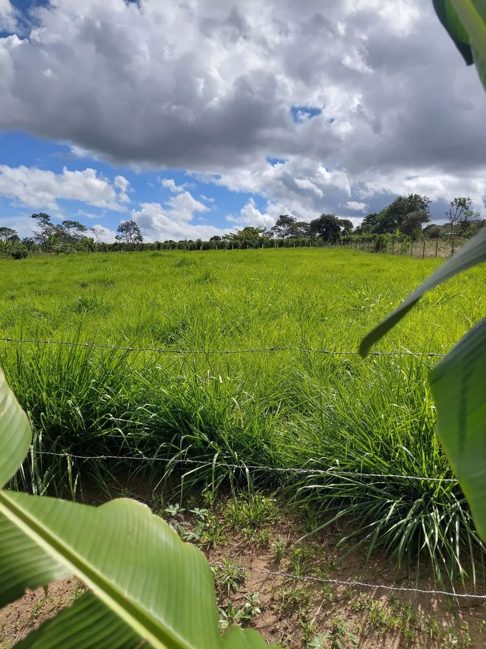 Sítio próximo Alphaville 4000m2 - Foto 2