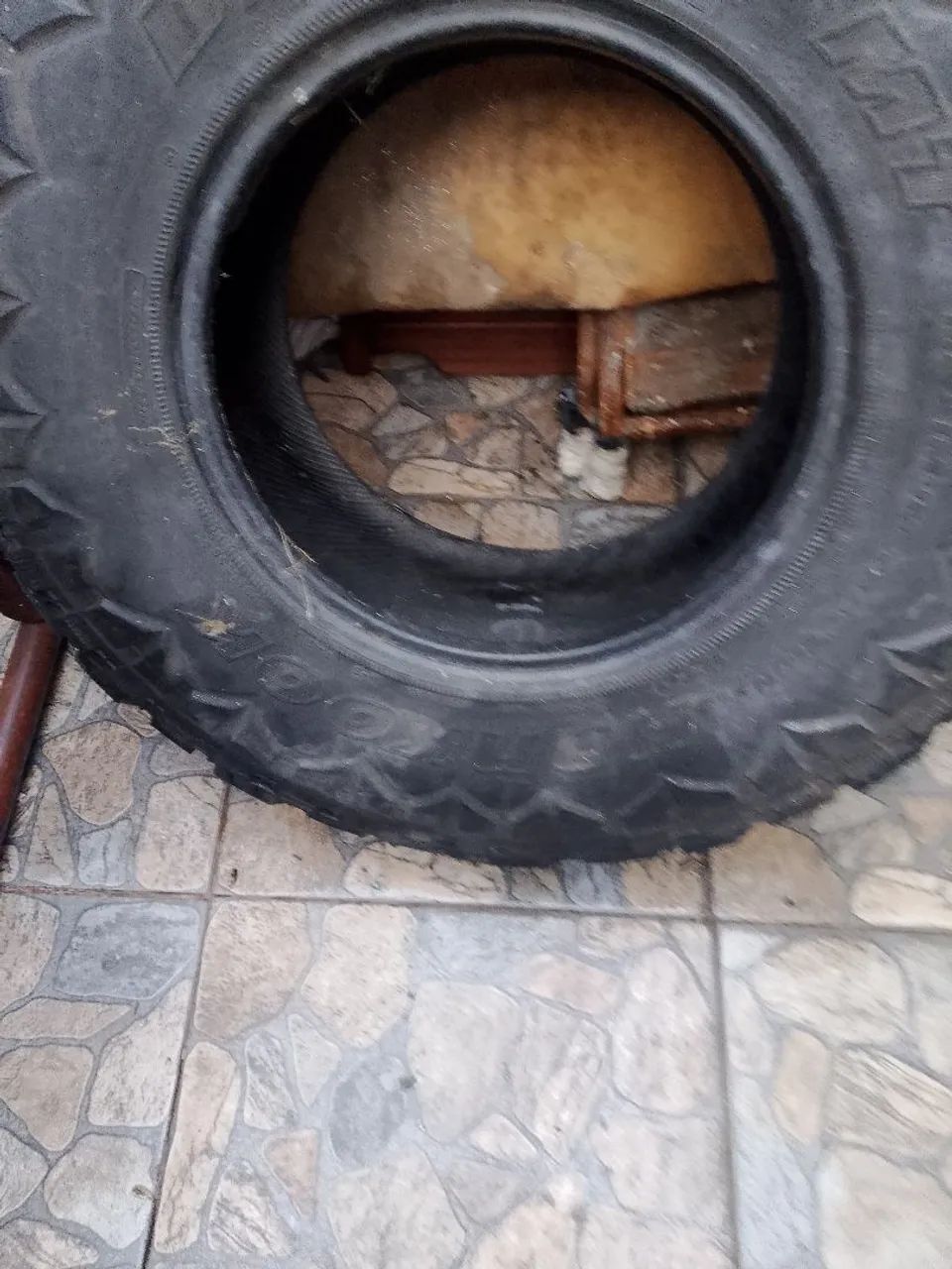 Pneu de caminhonete 