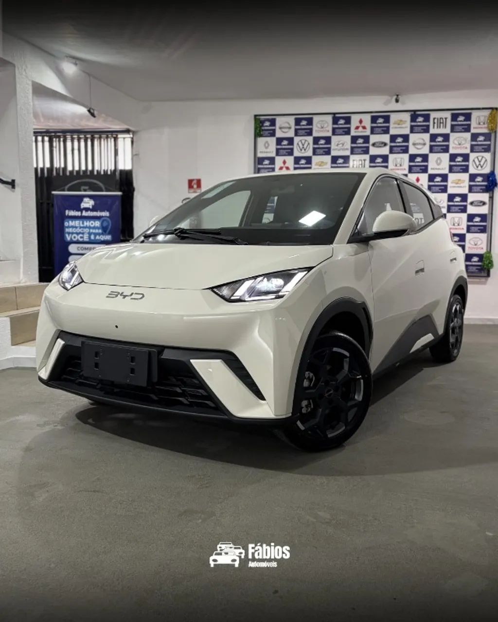 BYD Dolphin Mini (Elétrico) 2027 - Foto 2