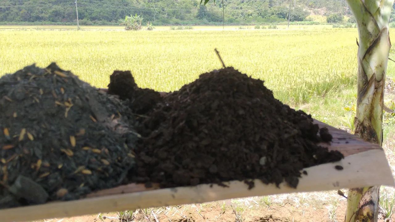 Vende-se Substrato de folha de palmeira, 100% orgânico!!! - Foto 3