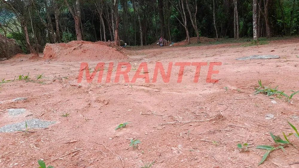 Terreno em Jardim Peri - Foto 4