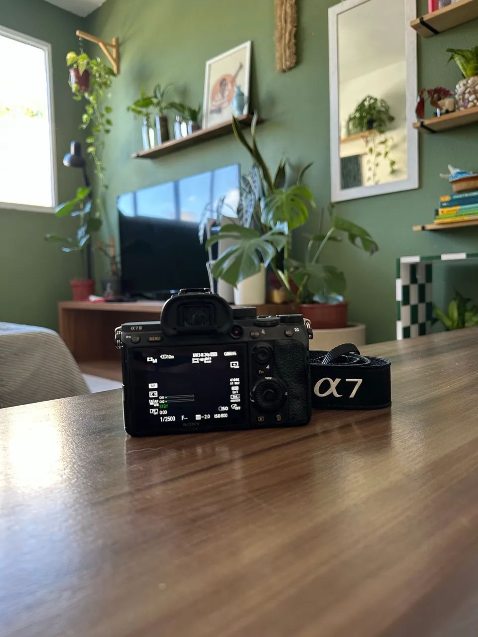 Sony a7III  - Foto 3