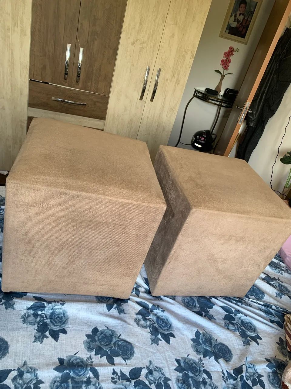 Pulga - Foto 3