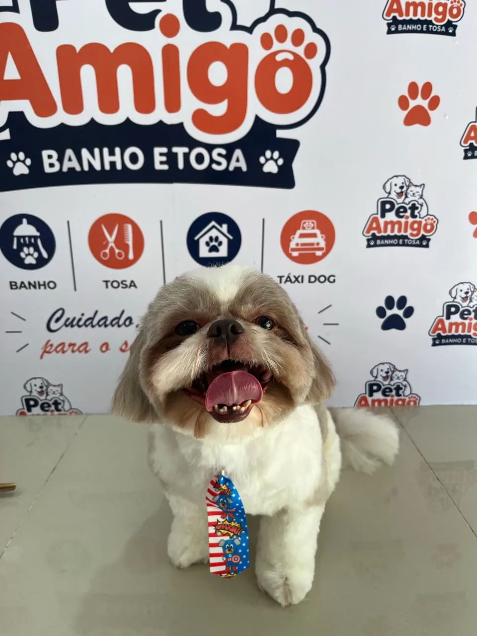 Banho e tosa  - Foto 2