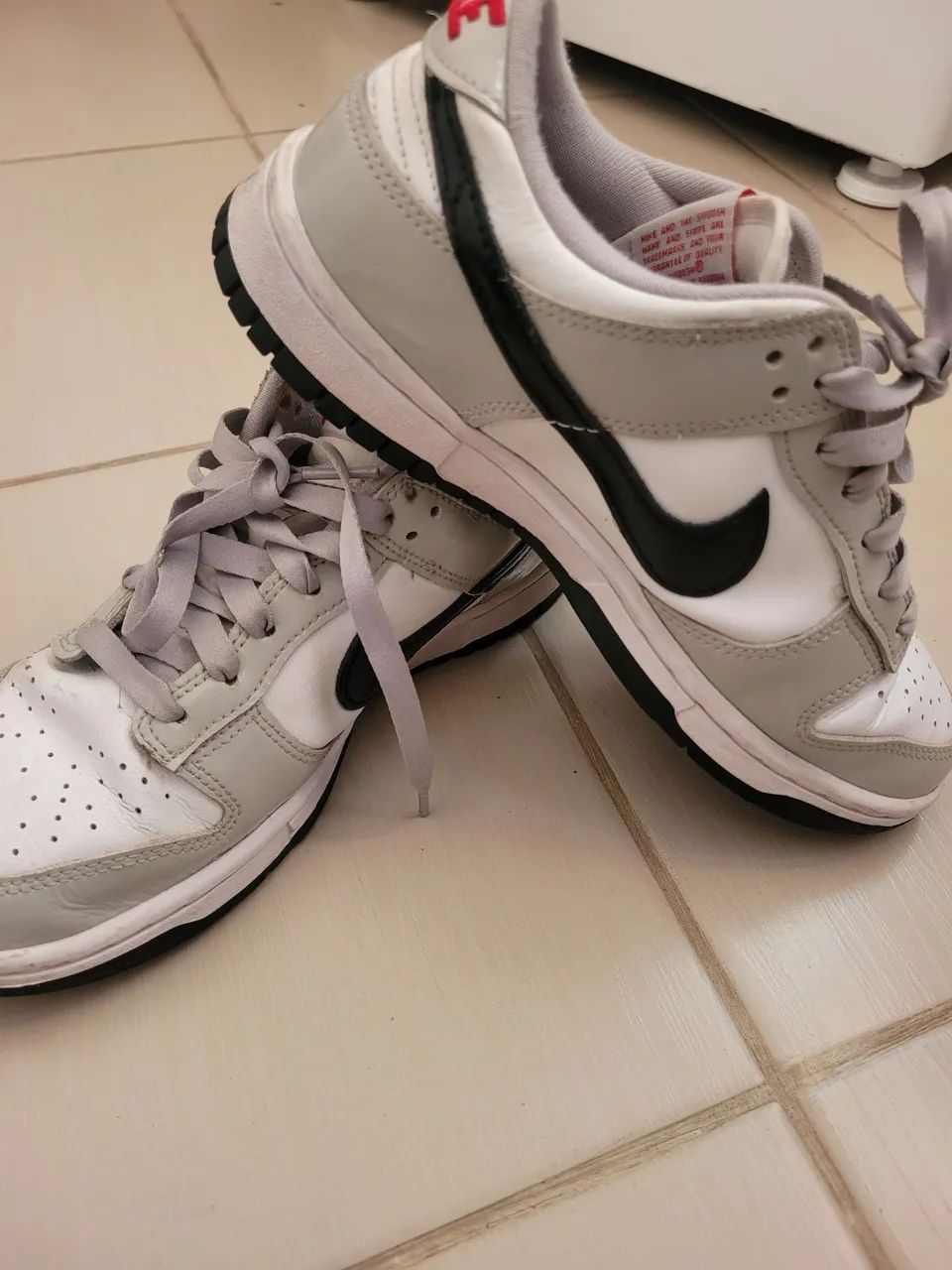 Tênis Nike Dunk Low