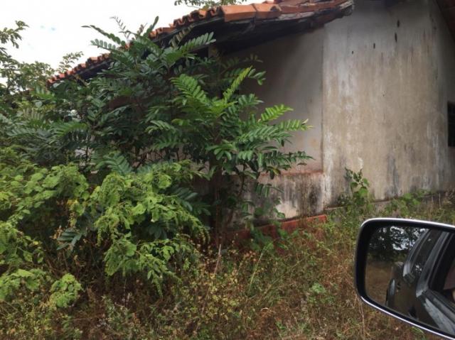 FAZENDA A VENDA EM MATO GROSSO (Dupla Aptidão) - Foto 9