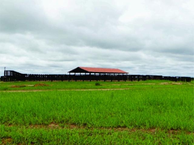FAZENDA A VENDA EM MS. PANTANAL ALTO ( Pecuária) - Foto 10