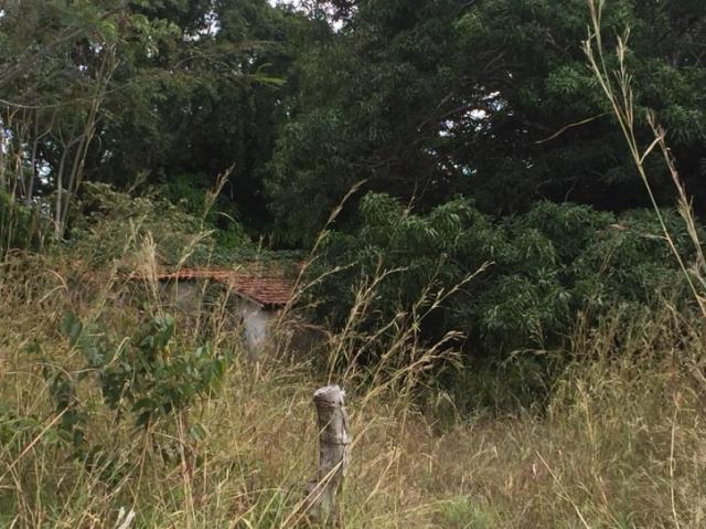 FAZENDA A VENDA EM MATO GROSSO (Dupla Aptidão) - Foto 14