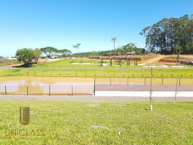 Terreno à venda em Centro, Nova santa rita cod:TE0296 - Foto 3